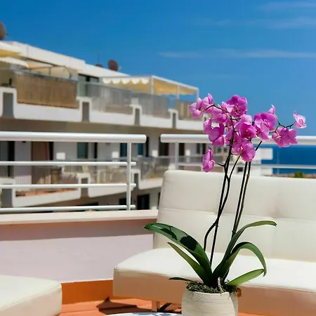 Hotel S'alamera & 2*